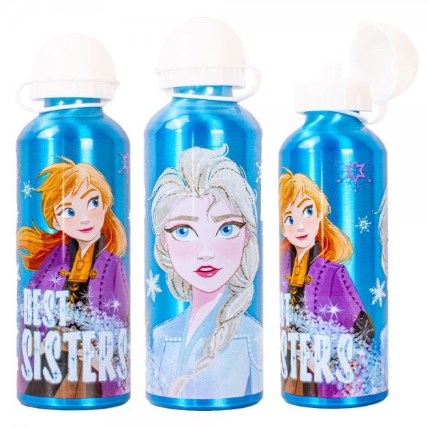 Frozen aluminum water bottle for kids with flip-top lid and Elsa and Anna design
