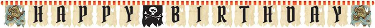Pirate Party Banner