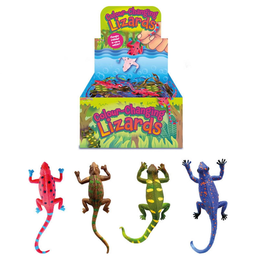 Colour Changing Lizard Toy
