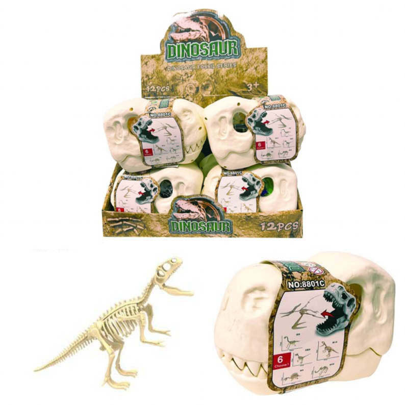 Dinosaur Skull Carry Case Set